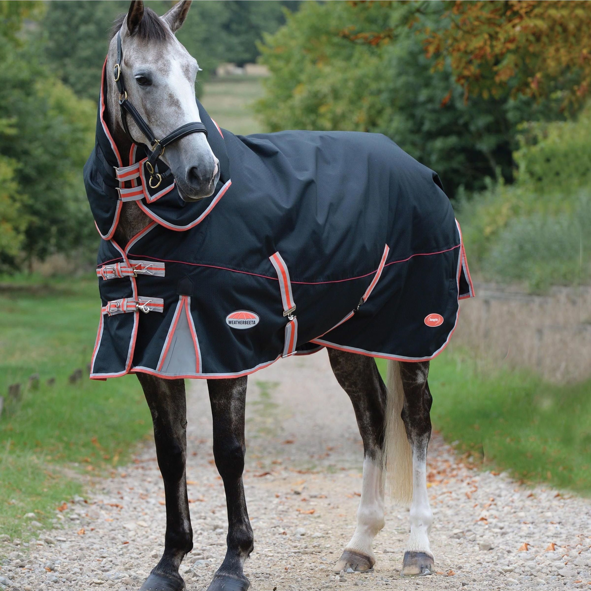 Weatherbeeta Comfitec Premier & Therapy - Tec Medium Detach - A - Neck Turnout Rug - Black